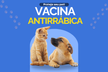 Vacinação Antirrábica Protege Animais no Gatil Municipal