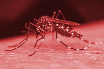 DHS faz balanço e reforça frente de trabalho de combate à Dengue