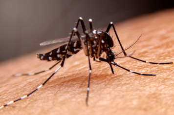 Departamento de Higiene e Saúde de Pompeia investiga morte de idosa com suspeita de dengue