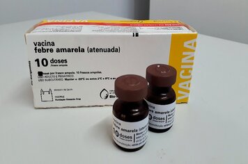 Trabalho de prevenção é bem sucedido e Pompeia segue sem registro de casos de febre amarela