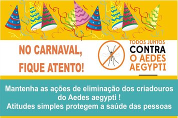 Saúde alerta sobre riscos de dengue e outros vírus no Carnaval