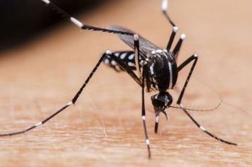 Semana Estadual de Mobilização de Combate ao Aedes Aegypti começa na segunda (27)