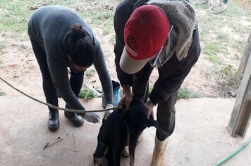 Zona Rural recebe agentes da vigilância em campanha contra a Raiva animal