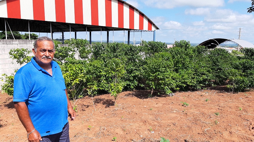 Morador de Pompeia transforma área verde em Agrofloresta