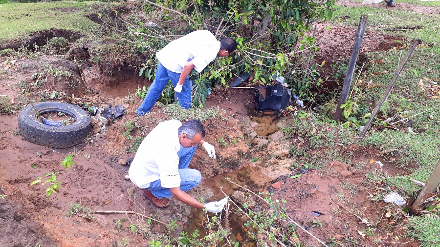 Vigilância continua com ação integrada de combate a pernilongos